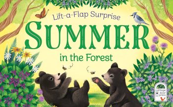 Summer In The Forest Deluxe Lift-a-Flap & Pop-Up Seasons Children's Board Book (Pop-Up Surprise)